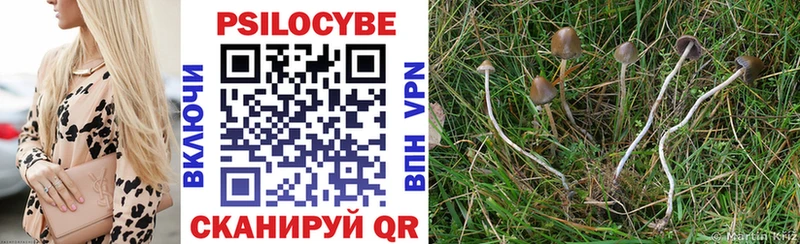 ОМГ ОМГ зеркало  Лабытнанги  Псилоцибиновые грибы Psilocybe 